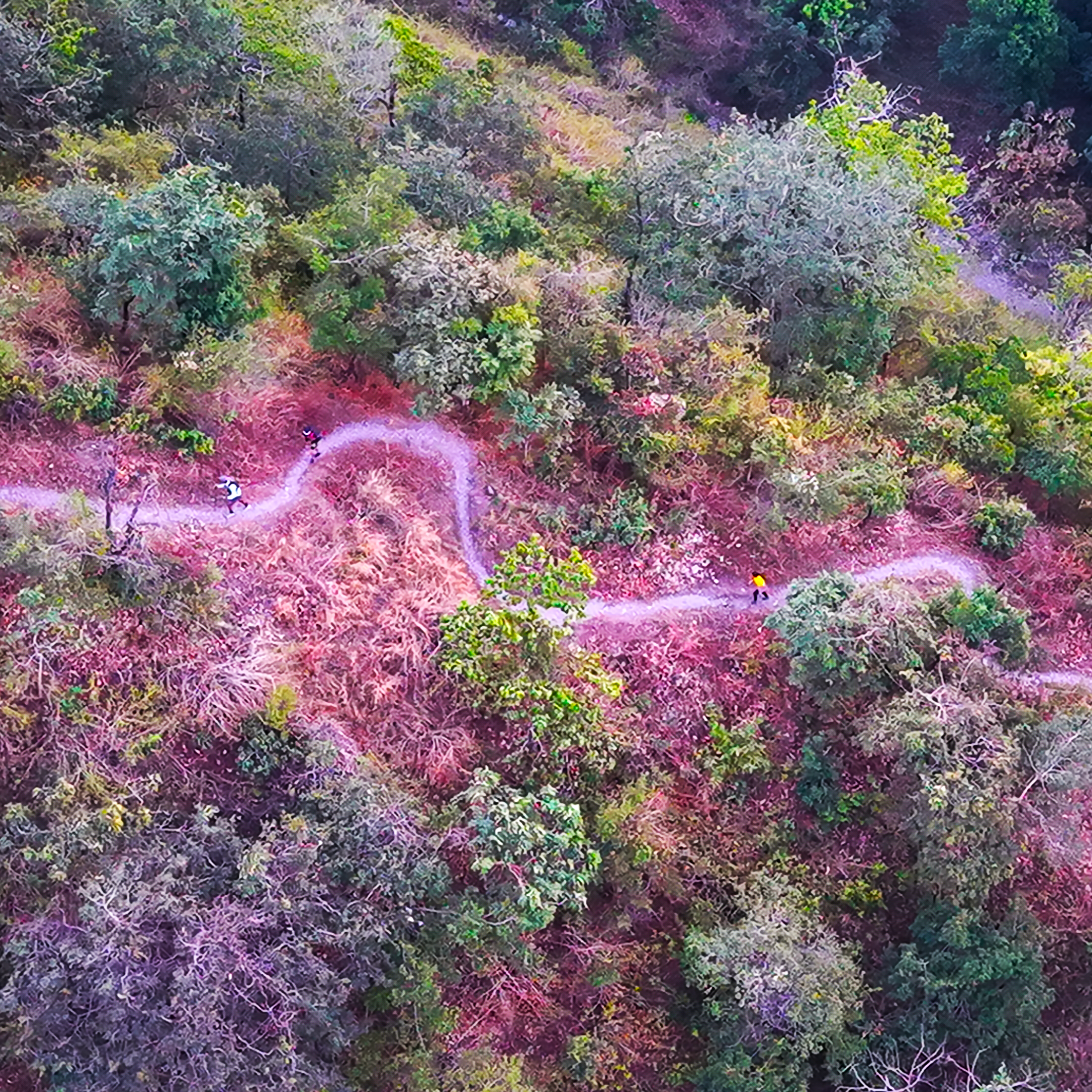 DHARAK Dehradun Trails