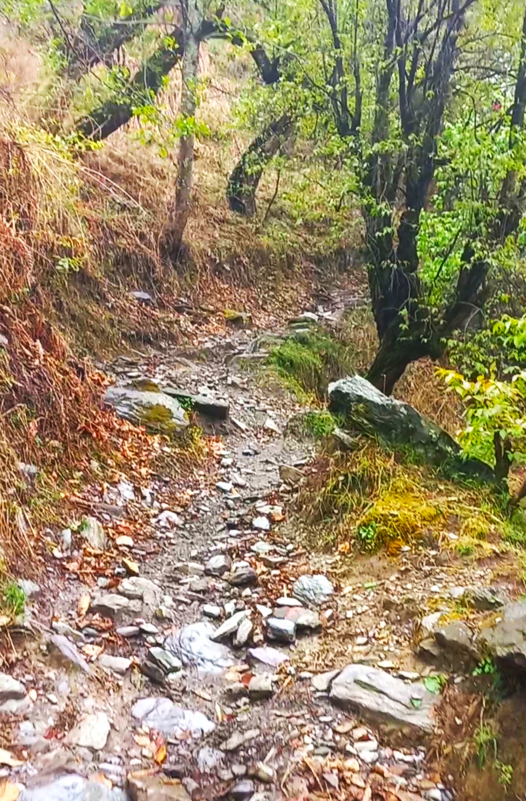 Didina Village Trails